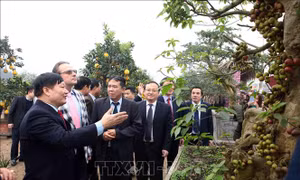 Rực rỡ sắc màu Lễ hội hoa Văn Giang
