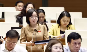 Mở rộng khái niệm để phòng, chống hiệu quả tội phạm mua bán người