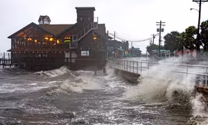 Bão Elsa đổ bộ vào Florida, Mỹ