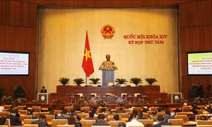 Nghị quyết Phê duyệt Đề án tổng thể phát triển kinh tế - xã hội vùng đồng bào dân tộc thiểu số và miền núi giai đoạn 2021-2030