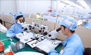 Việt Nam được đánh giá là điểm đến hứa hẹn của các công ty lớn thế giới