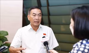 Luật Kinh doanh bảo hiểm (sửa đổi) cần được cụ thể hóa