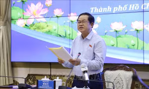 TP Hồ Chí Minh: Bảo đảm bầu cử diễn ra dân chủ, bình đẳng