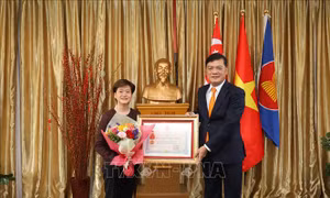 Trao Huân chương Hữu nghị và Kỷ niệm chương cho cựu Đại sứ Singapore tại Việt Nam