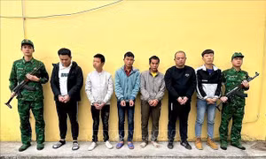Bắt nhóm đối tượng đưa người nhập cảnh trái phép vào Việt Nam