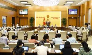 Phiên họp thứ 37 của Ủy ban Thường vụ Quốc hội: Bổ sung dự toán ngân sách vốn viện trợ không hoàn lại của Chính phủ Ireland cho các xã đặc biệt khó khăn