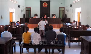 Trả hồ sơ để tiếp tục điều tra vụ án gây thất thoát tiền tỷ tại huyện nghèo Tu Mơ Rông