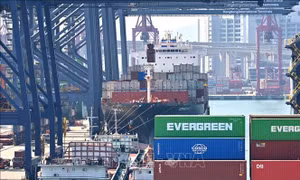 WTO: Mỹ đã vi phạm luật thương mại quốc tế