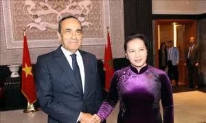 Chủ tịch Quốc hội Nguyễn Thị Kim Ngân hội đàm với Chủ tịch Hạ viện Maroc, Habib El Malki
