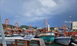 Khởi tố vụ án hình sự gây cản trở việc giám sát hành trình hoạt động tàu cá 