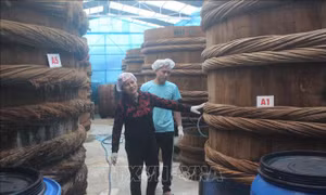 Làng nghề nước mắm truyền thống Khúc Phụ tất bật vào vụ Tết