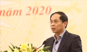 Hội nghị giao ban trực tuyến công tác phi chính phủ nước ngoài