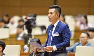 Chuyển đổi số trước tiên là chuyển đổi về nhận thức