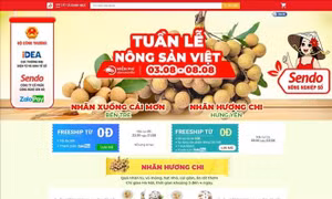 Bảo vệ thương hiệu khi xuất khẩu qua sàn thương mại điện tử