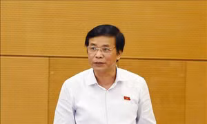Phiên họp thứ 36 Ủy ban Thường vụ Quốc hội: Khắc phục hạn chế, tồn tại, đẩy mạnh thực hiện các nghị quyết, kết luận của Ủy ban Thường vụ Quốc hội