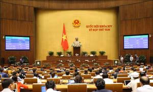Sáng 14/11, Quốc hội biểu quyết Nghị quyết về phân bổ ngân sách Trung ương năm 2020