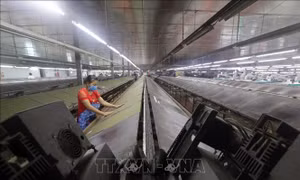 Tháo gỡ khó khăn, thúc đẩy giải ngân vốn đầu tư công ứng phó đại dịch COVID-19