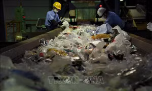 Nhật Bản vẫn đứng thứ hai thế giới về rác thải nhựa