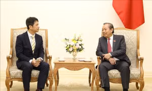 Phó Thủ tướng Trương Hòa Bình đề nghị tỉnh Ibaraki (Nhật Bản) tăng cường tiếp nhận thực tập sinh và lao động Việt Nam