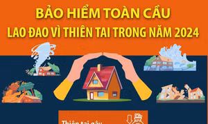 Bảo hiểm toàn cầu lao đao vì thiên tai trong năm 2024