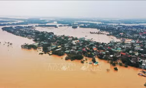 Nỗ lực giảm nhẹ và tăng cường khả năng chống chịu thiên tai tại Việt Nam