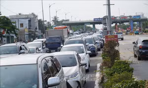 Mùng 2 Tết, cầu Rạch Miễu ùn tắc kéo dài