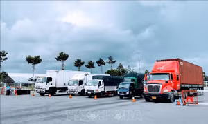 Thông luồng cho vận chuyển hàng hóa
