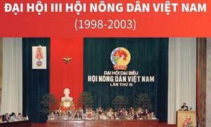 Đại hội III Hội Nông dân Việt Nam (1998-2003)