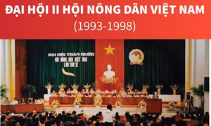 Đại hội II Hội Nông dân Việt Nam (1993-1998)
