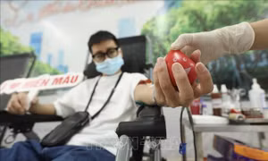 'Những giọt máu hồng' quý giá trong giai đoạn giãn cách xã hội
