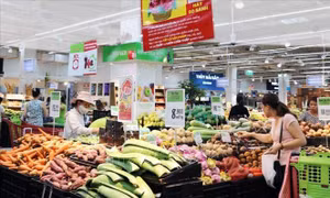 Giá điện sinh hoạt, thực phẩm tăng khiến CPI tháng 7 tăng 0,45%