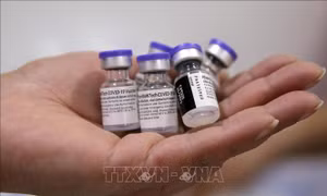 Canada phê duyệt liều tăng cường vaccine phòng COVID-19 của Pfizer-BioNTech