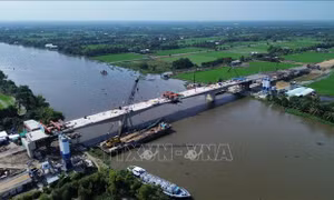 Hợp long cầu Vàm Cỏ Đông vốn đầu tư hơn 322 tỷ đồng
