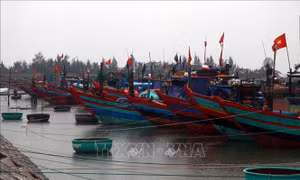 Bão số 8 suy yếu thành áp thấp nhiệt đới, đi vào Thanh Hóa, Nghệ An
