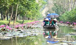 Suối Ấu Vĩnh An - đẹp 'hoang sơ'