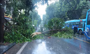 Chiều 7/9, Đông Bắc Bộ và Thủ đô Hà Nội có gió rất mạnh 