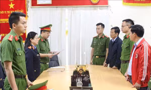 Khởi tố Tổng Giám đốc Công ty Cổ phần cao su Sơn La và đồng phạm  