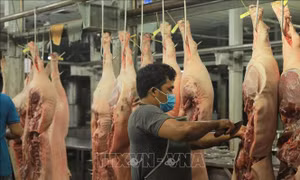 Đảm bảo sản xuất, nguồn cung thực phẩm chất lượng trong dịp Tết Nguyên đán