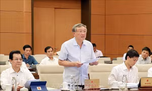 Cân nhắc quy định về tiêu chuẩn hòa giải viên, đối thoại viên