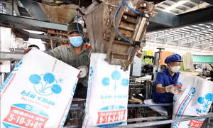 Kim ngạch xuất khẩu phân bón giảm, doanh nghiệp tập trung mở rộng thị trường
