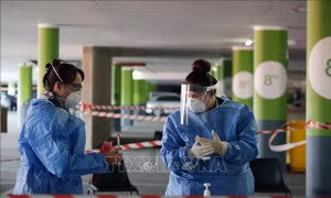 Nam Phi thử nghiệm vaccine phòng lao để ngừa virus SARS-CoV-2