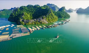 Ba 'đòn bẩy' lớn đưa Cát Hải trở thành trọng điểm phát triển của Hải Phòng