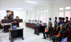 Các bị cáo trong vụ án ở Học viện Quân y được giảm án