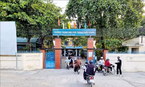 Xử lý nghiêm sai phạm tại Trường THPT Tháp Chàm
