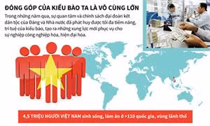 Đóng góp trí - lực của kiều bào: Xung lực mới góp phần xây dựng đất nước