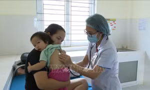 WHO khuyến cáo biện pháp phòng tránh bệnh sốt xuất huyết