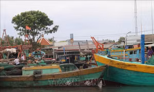 Gò Công Đông phát triển nghề biển truyền thống