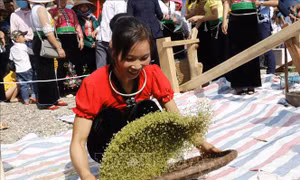 Rộn ràng Lễ hội cốm Tú Lệ