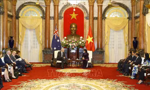 Phó Chủ tịch nước Đặng Thị Ngọc Thịnh hội kiến Thủ tướng Australia Scott Morrison 