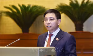 'Đường cất hạ cánh số 3' sân bay Long Thành sẽ đem lại nhiều lợi ích